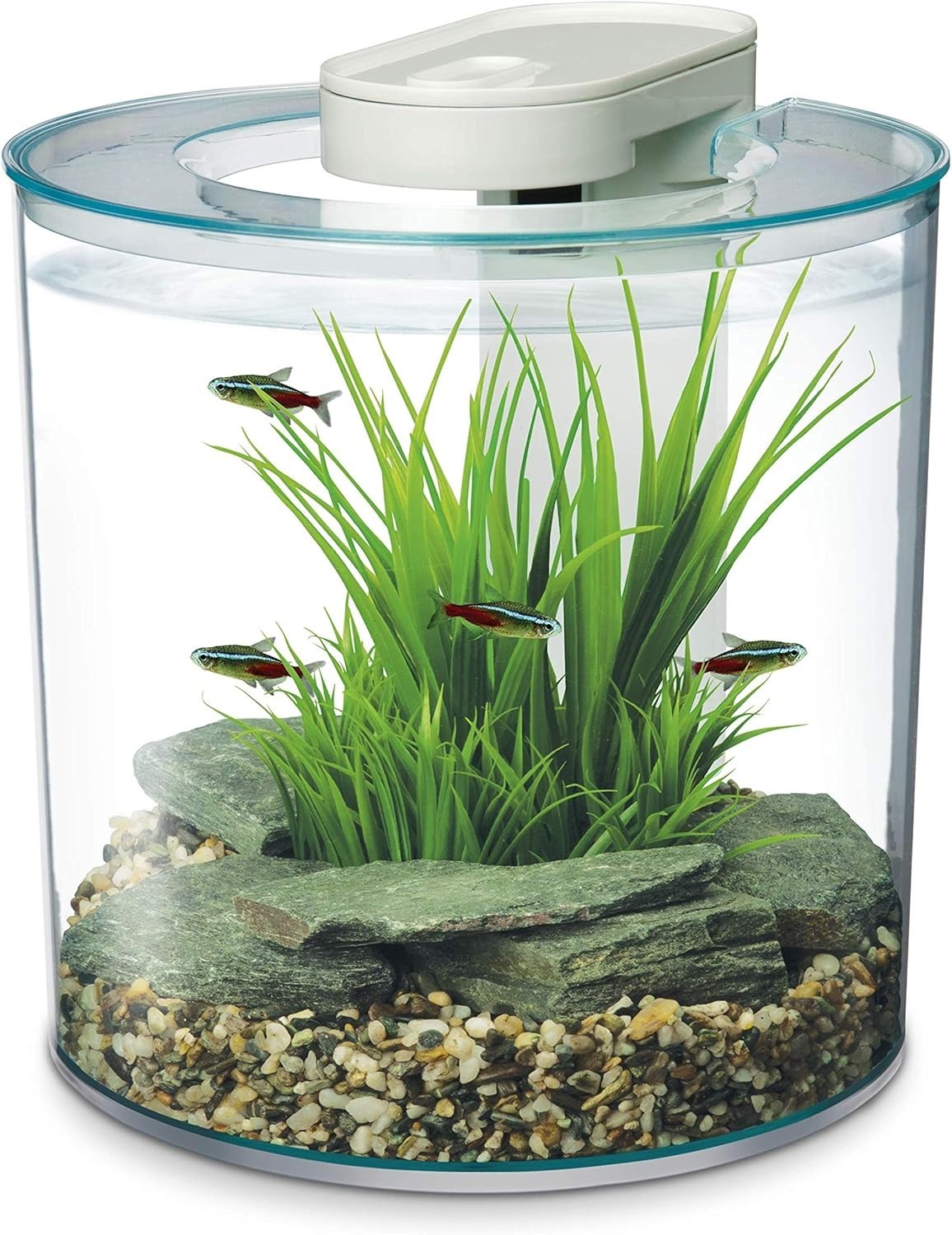 10L Round Fish Tank With Remote LED Lighting Filter Pump Aquarium