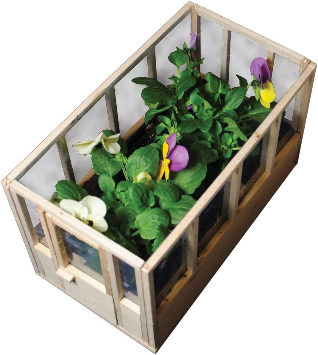 Mini Indoor Greenhouse Wooden Windowsill Herb & Cactus Display Box 21x20x13.5cm