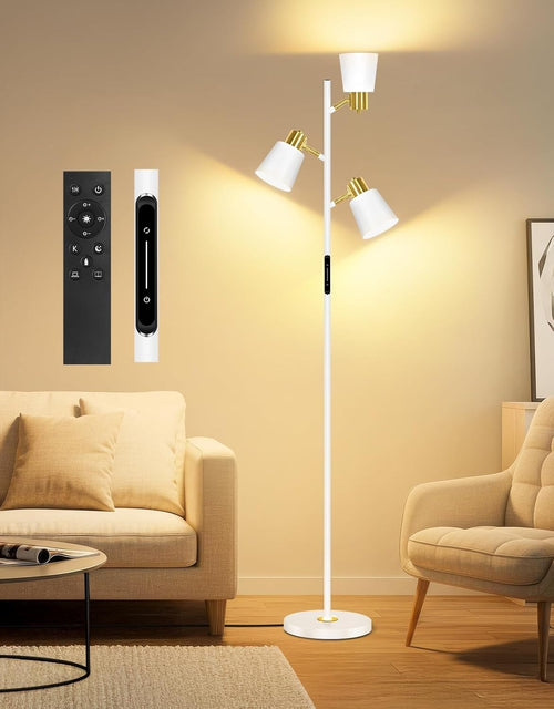Dimmable LED Floor Lamp with Remote, 4 Color Temps, Adjustable & Sturdy