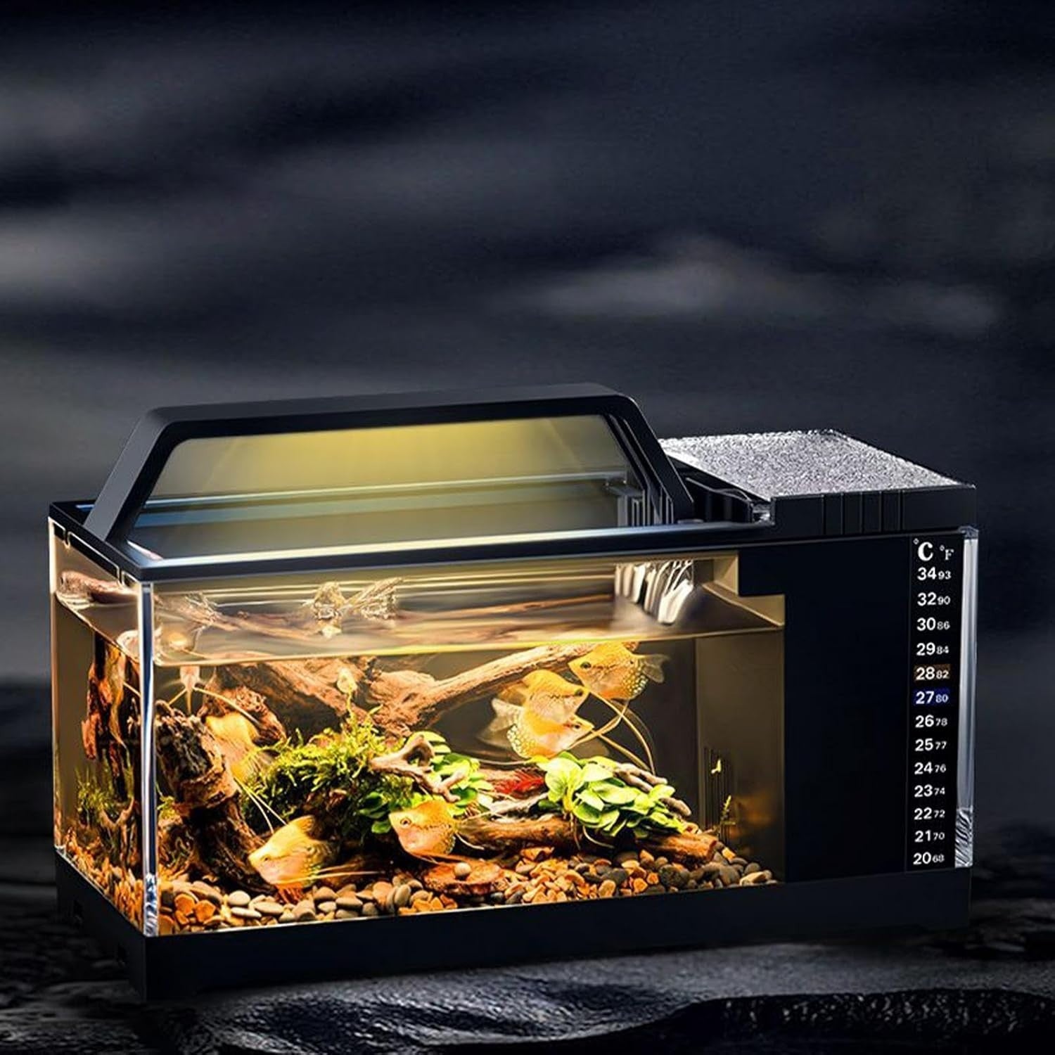Betta Fish Tank Kit | Small Aquarium with LED Light & Quiet Filter Pump