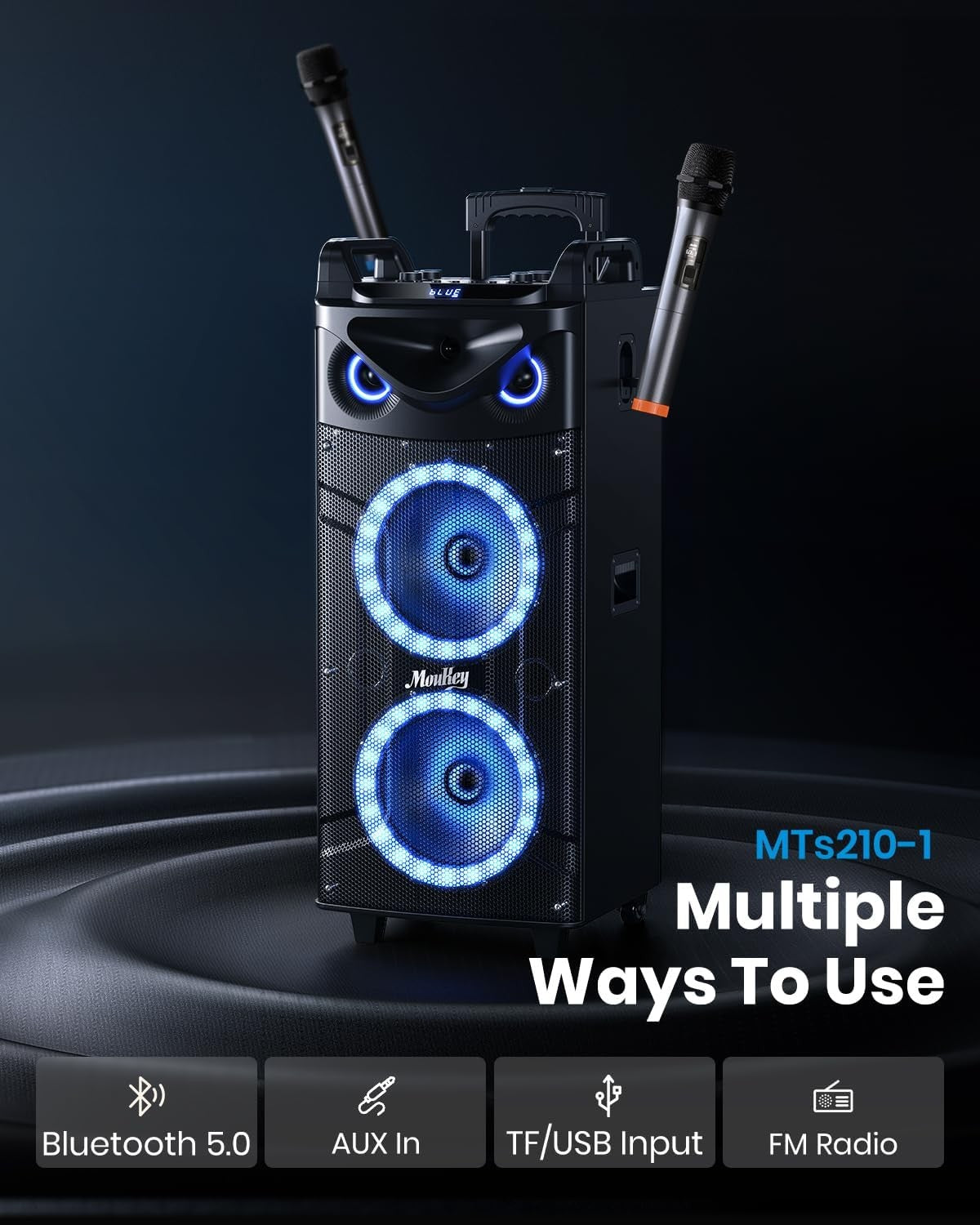 Portable Karaoke Speaker 10" Double Woofer 2 Wireless Mics