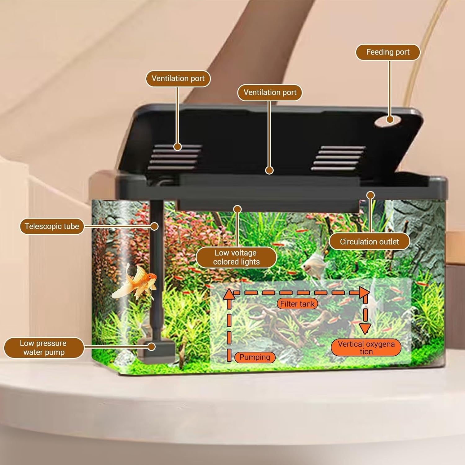 19L Acrylic Fish Tank with LED Light Filter Oxygen Pump Aquarium Kit