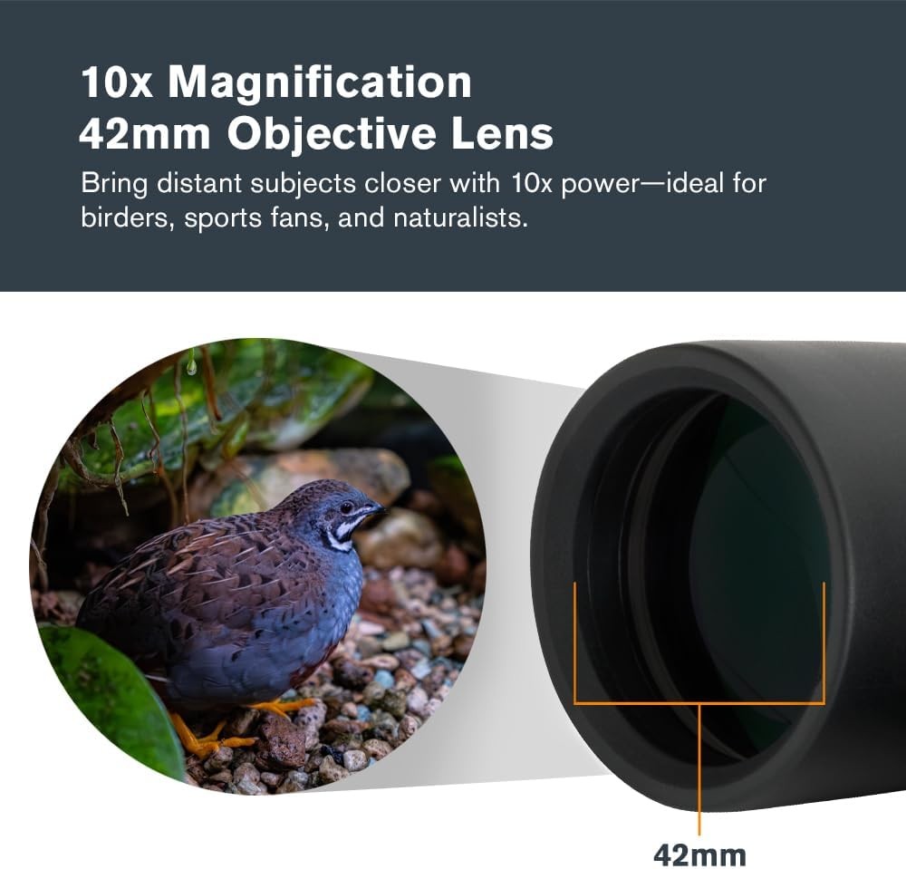 10x42 Binoculars HD Waterproof Fogproof Wide View Outdoor Travel Birdwatching