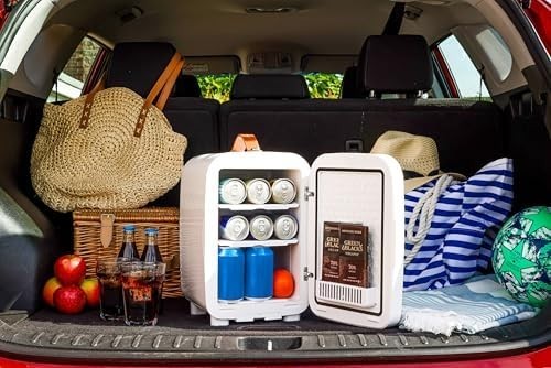 Mini Fridge 10L Portable Cooler AC/DC Compact Quiet Grey