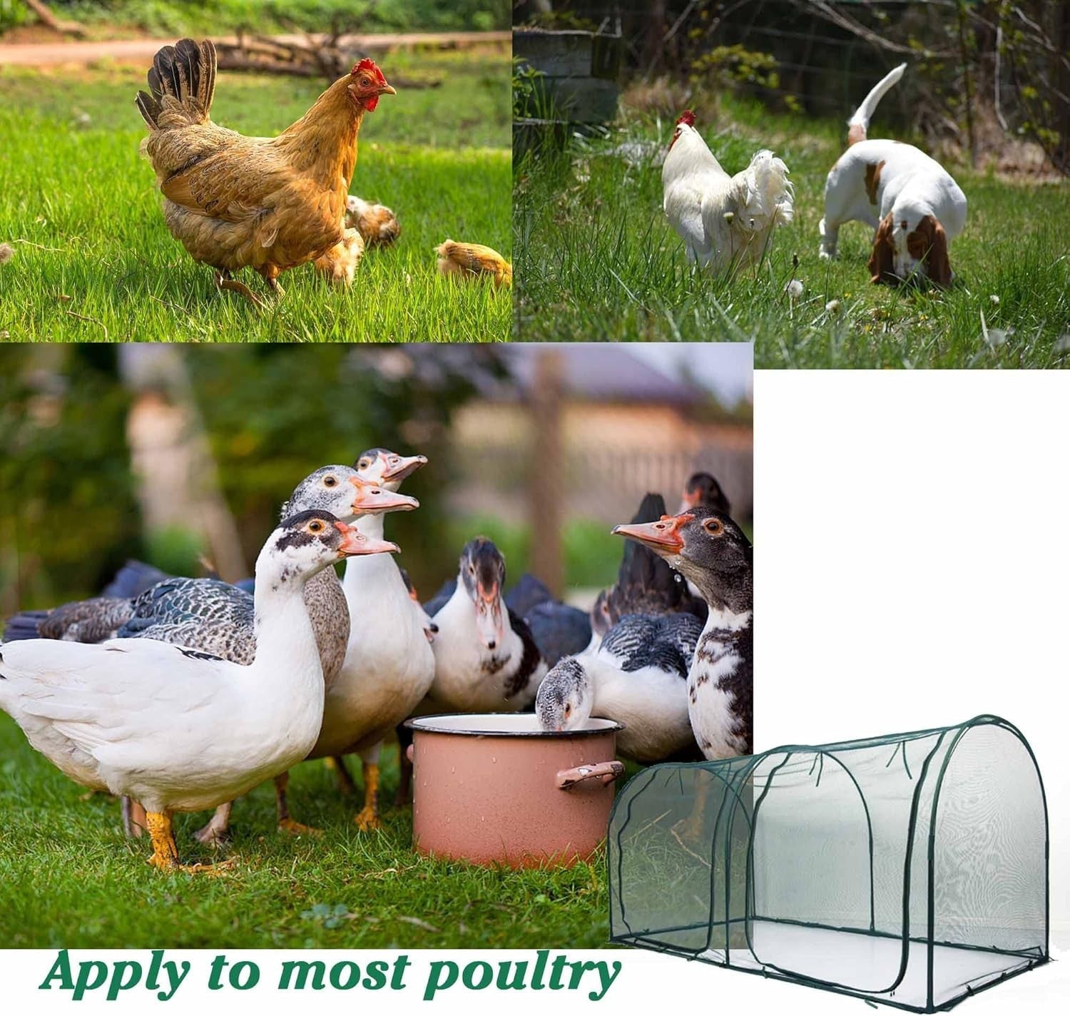 Portable Chicken Run Walk In Poultry Pen 180x90cm