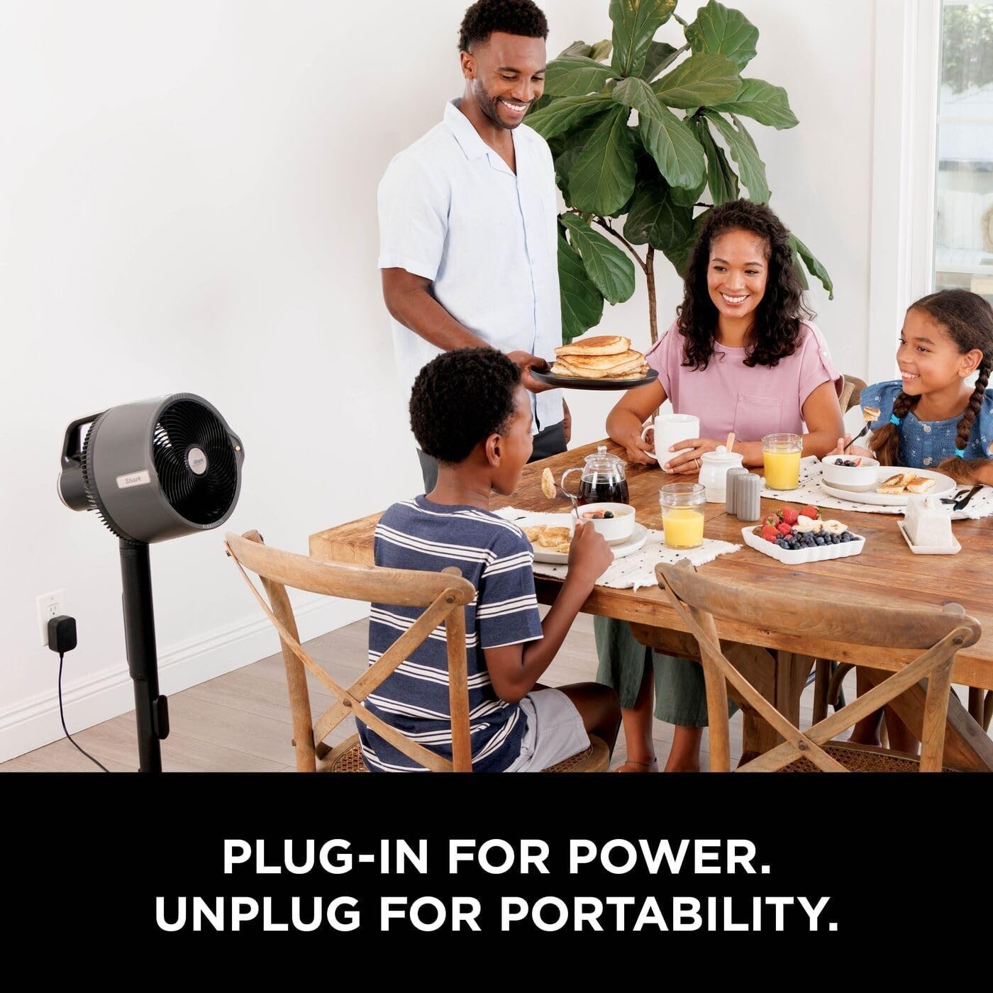 Cordless Indoor Outdoor Fan 5-Speed 24H Runtime Misting Pedestal Table Cooling