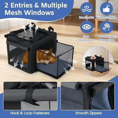 Foldable Pet Carrier Bag with Mesh, Cushion & Extendable Travel Space