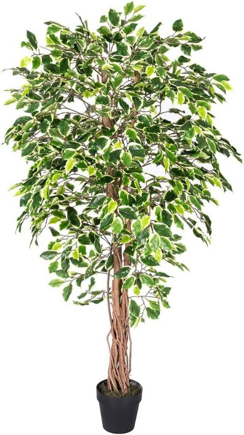 6ft Variegated Ficus Tree Artificial Plant Real Wood Trunk Lifelike Indoor Decor