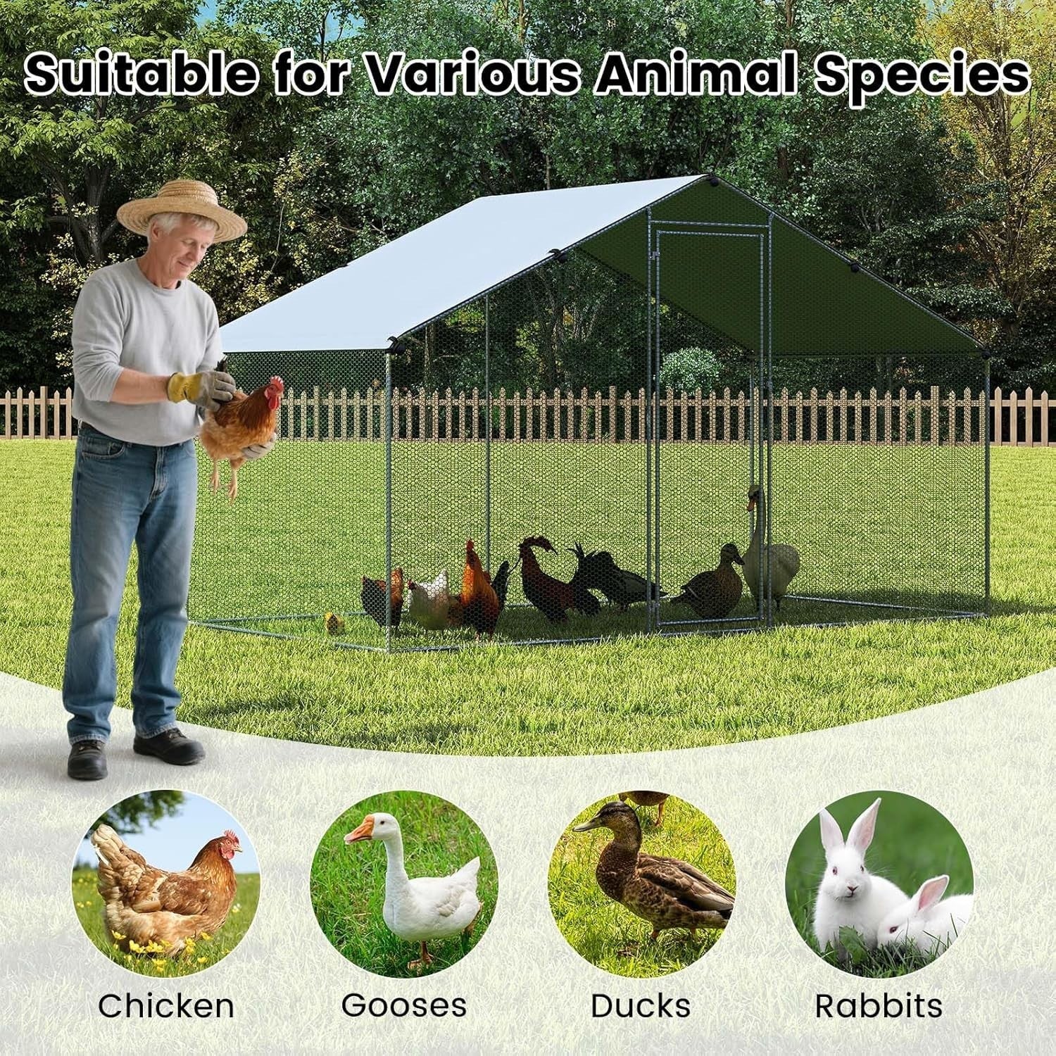 Walk In Poultry Run Galvanised Steel Enclosure with Waterproof Roof