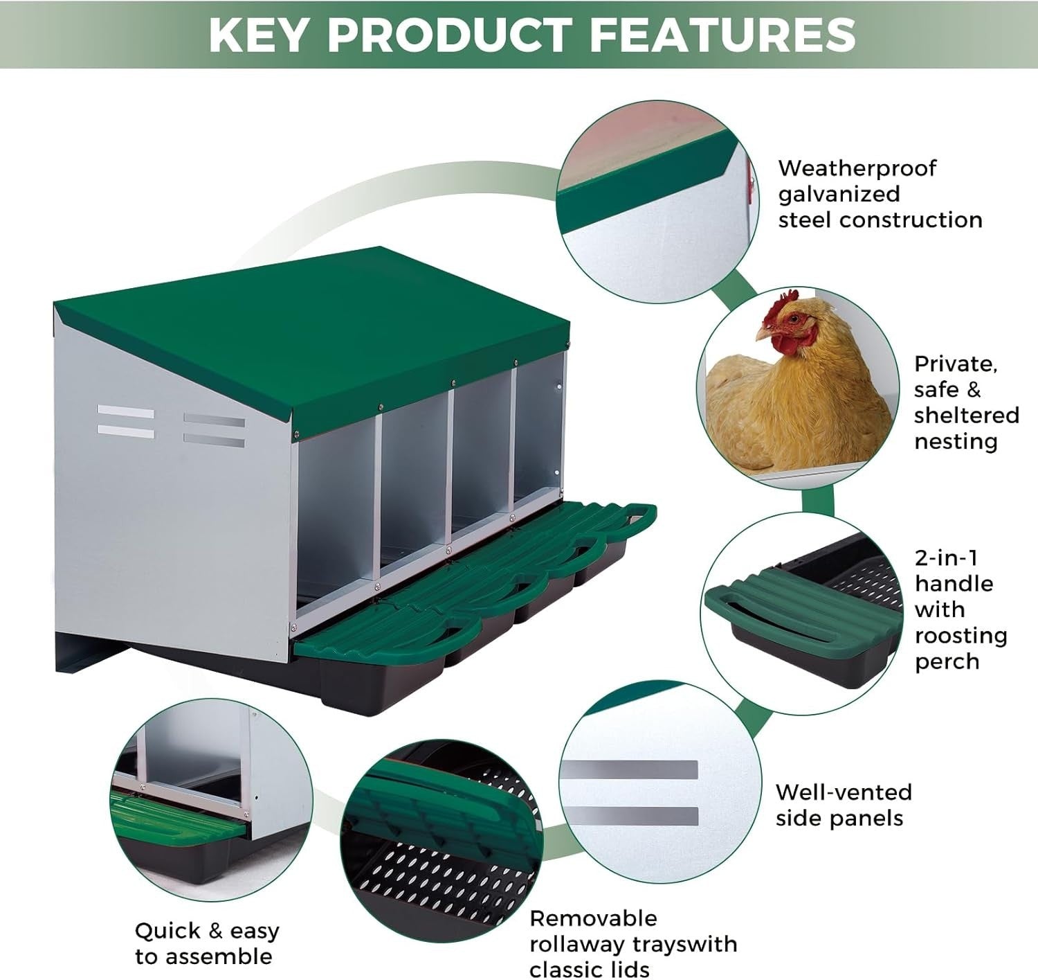 Metal Chicken Nesting Box 4 Compartment Pull Out Egg Tray