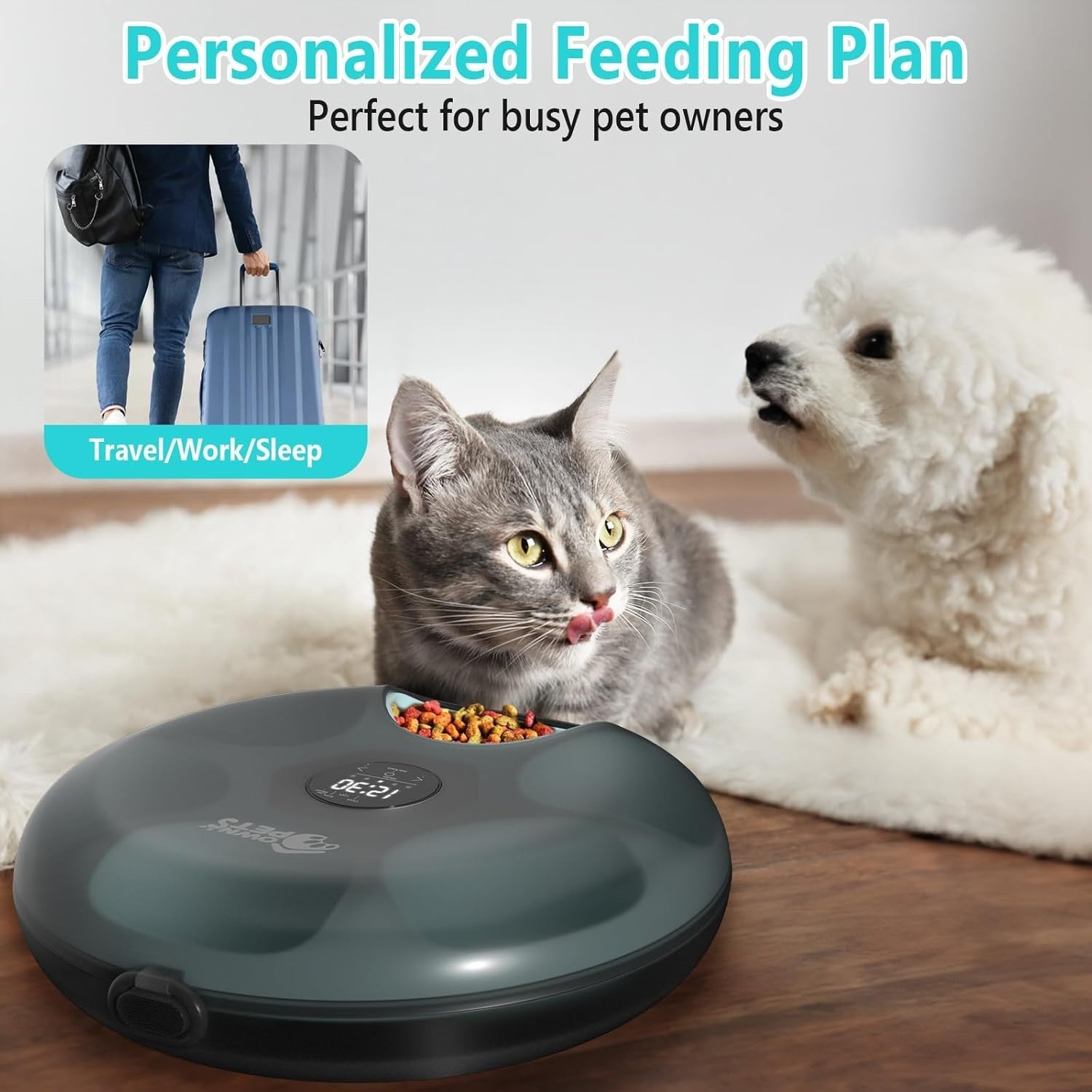 Automatic Pet Feeder 6 Meal Timer Wet Dry Food Dispenser Ice Packs USB
