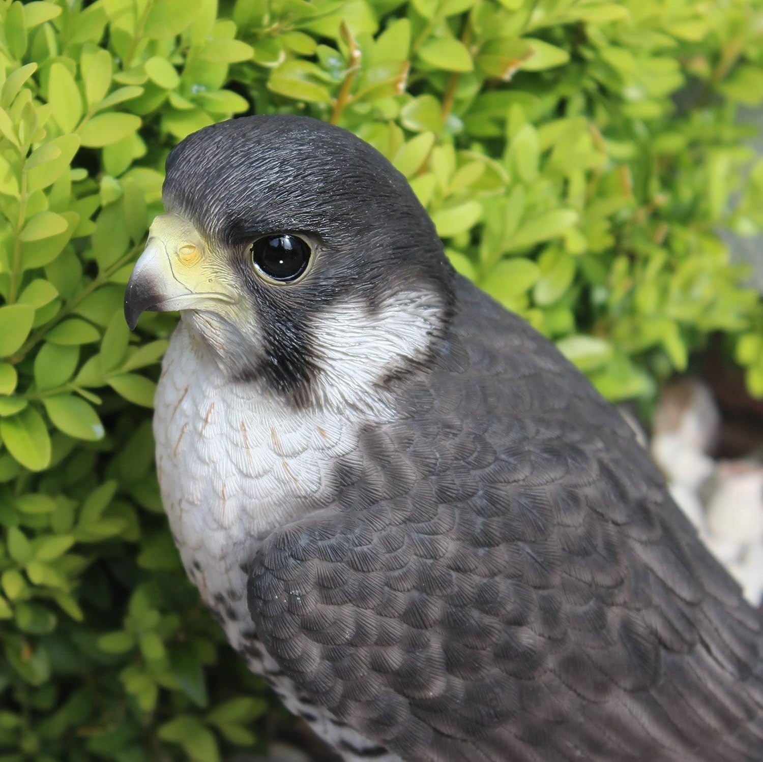 Realistic Peregrine Falcon Resin Ornament • Garden Bird Statue 10.2cm