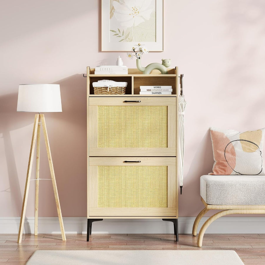 Compact Shoe Cabinet 2 Flip Drawers + Adjustable Dividers, Sturdy & Space-Saving