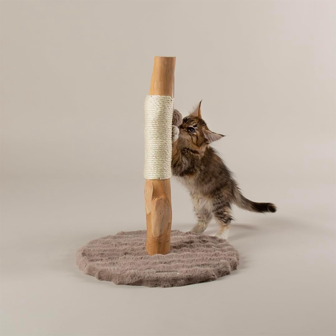 Kitten Cat Scratching Post Tree Compact Sisal Scratch Toy Indoor Small Cats