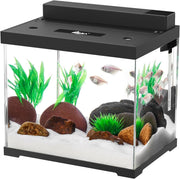 9L Small Glass Fish Tank with Dual Filtration & 4-Color LED Light