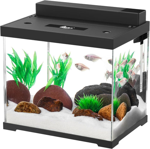 9L Small Glass Fish Tank with Dual Filtration & 4-Color LED Light