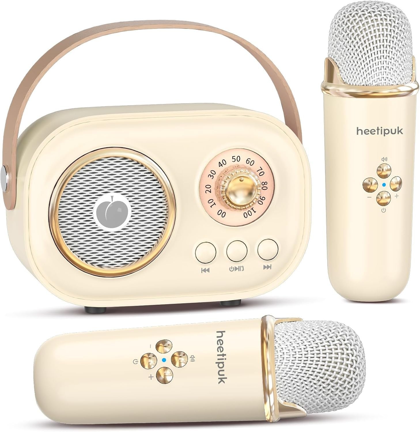 Mini Karaoke Machine Portable Bluetooth Speaker 2 Wireless Mics Kids Teens
