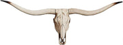 Long Horn Bull Skull Wall Decor Resin Farmhouse Sculpture 75cm