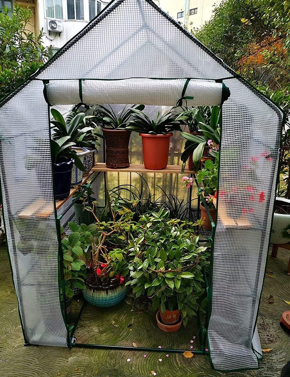 Walk-In Greenhouse 4 Shelves Waterproof PVC Cover 56x29x77in | Reinforced Frame
