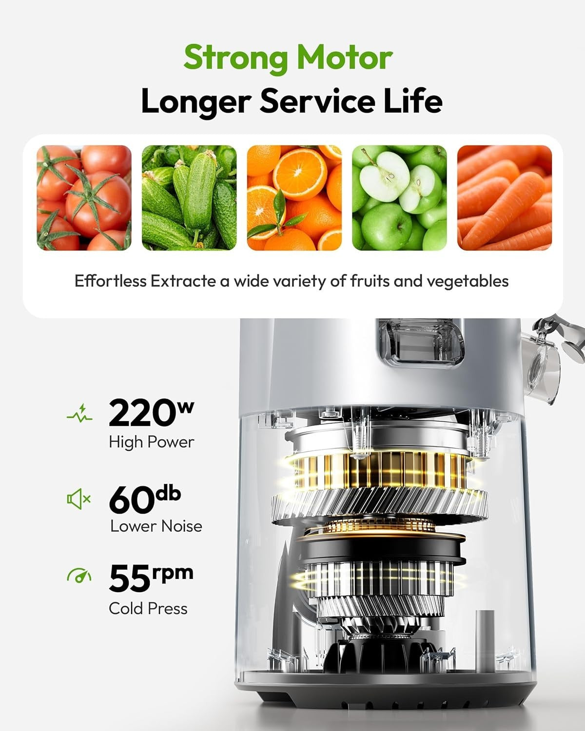 Cold Press Juicer 135mm Wide Feed Opening 1.8L Slow Masticating