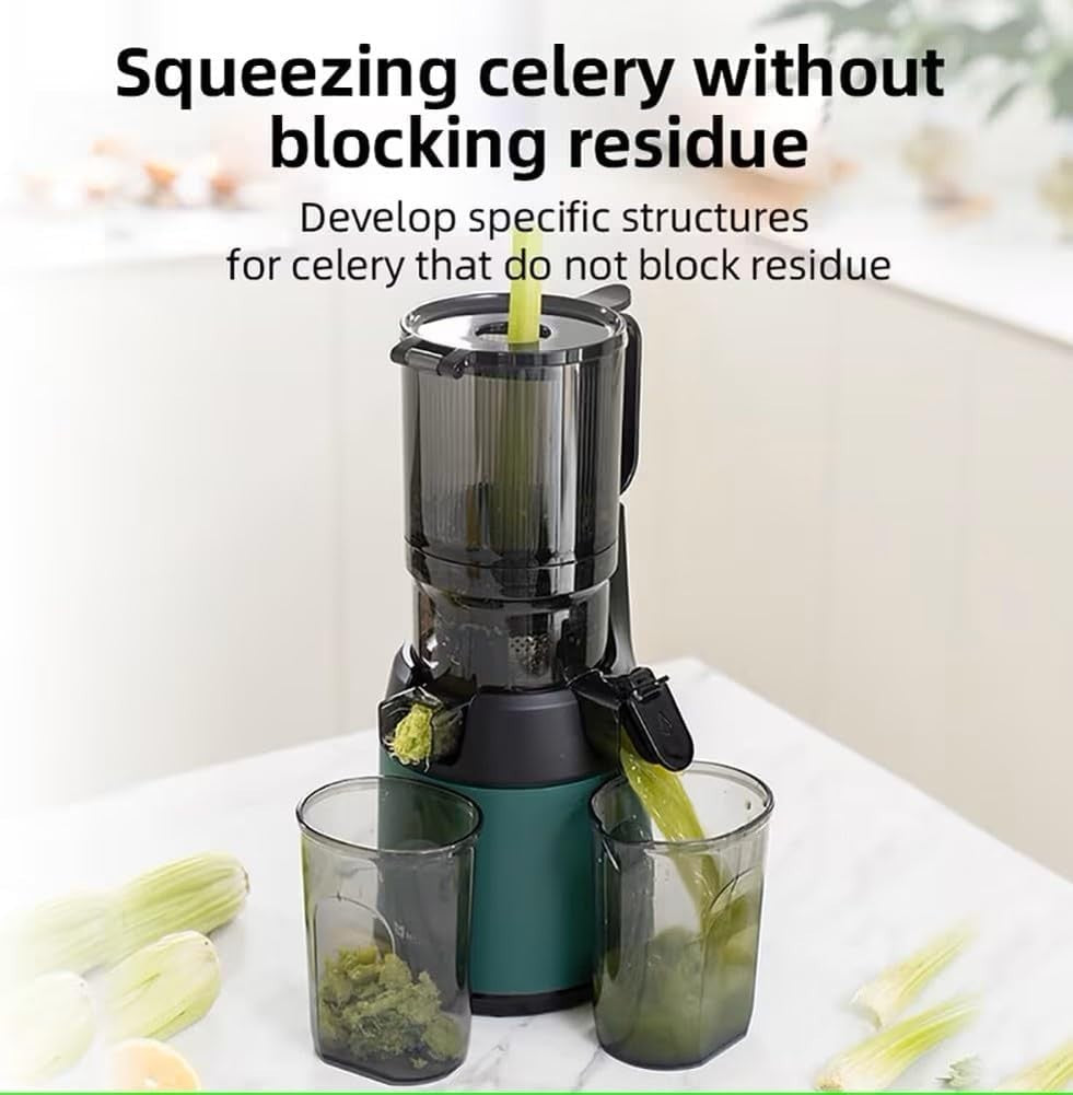 Self Feeding Slow Juicer Whole Fruit Masticating 37RPM Easy Clean 300W