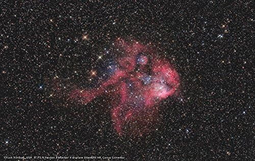 203/800 GoTo Newtonian Telescope | Fast f/3.9 Deep-Sky Imaging
