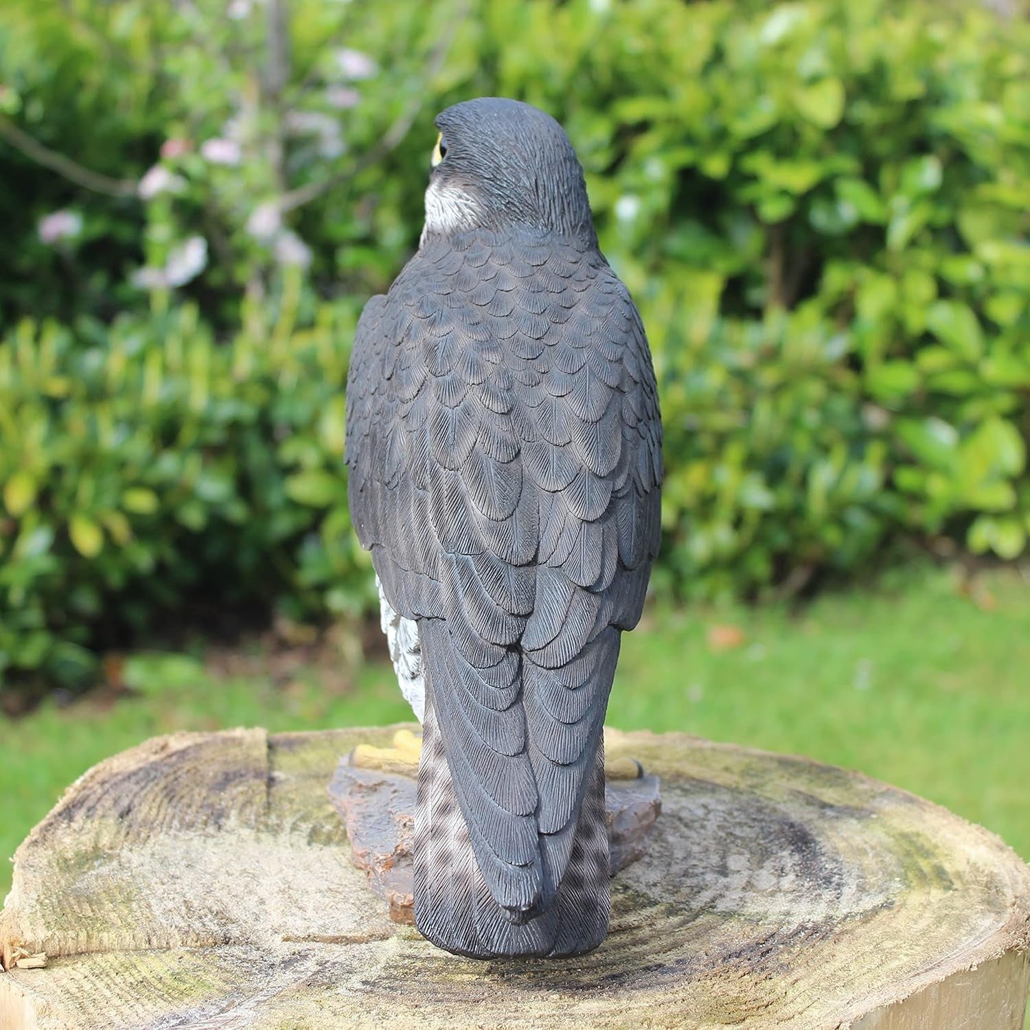 Realistic Peregrine Falcon Resin Ornament • Garden Bird Statue 10.2cm