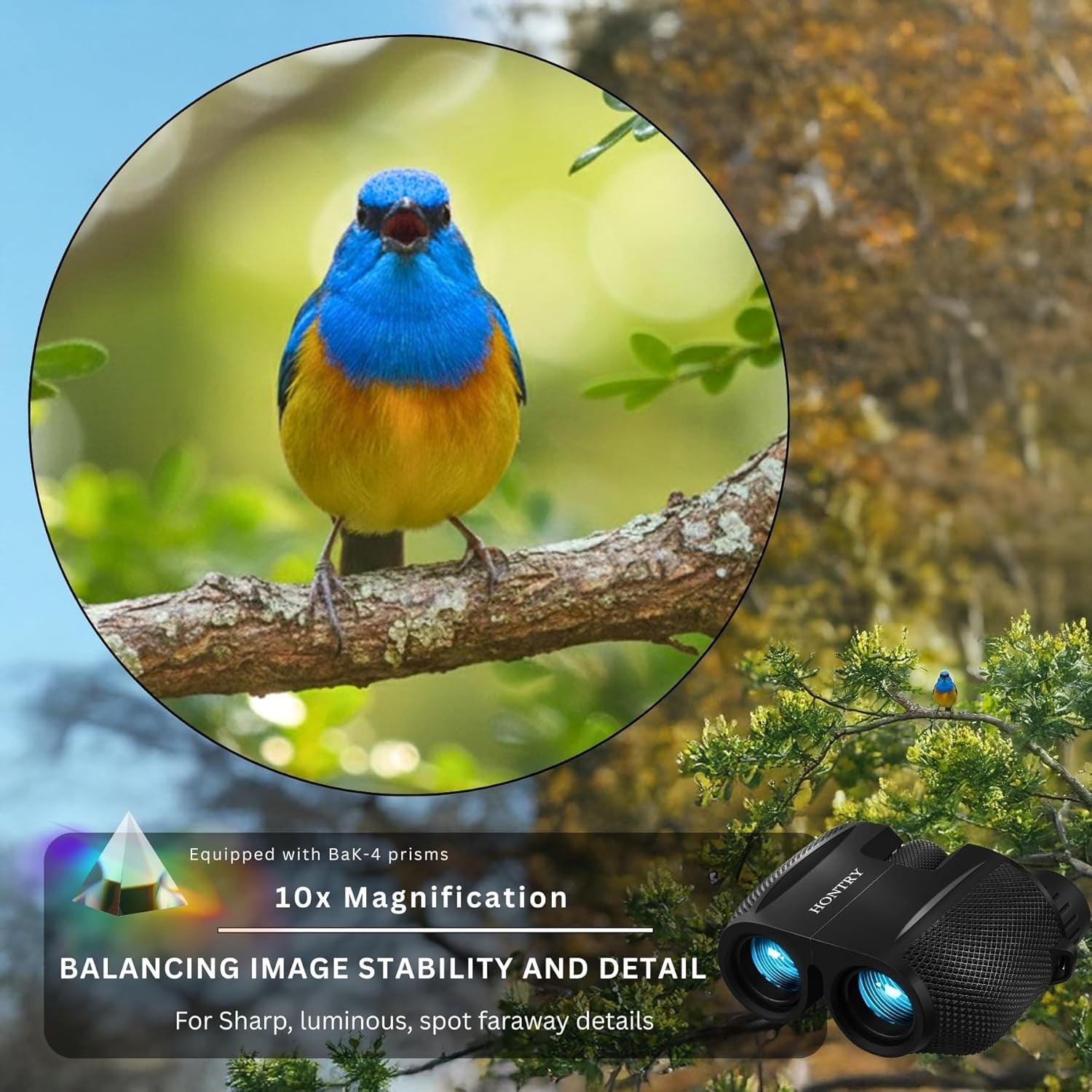 10x25 Compact Binoculars HD Lightweight Waterproof for Travel Bird Watching