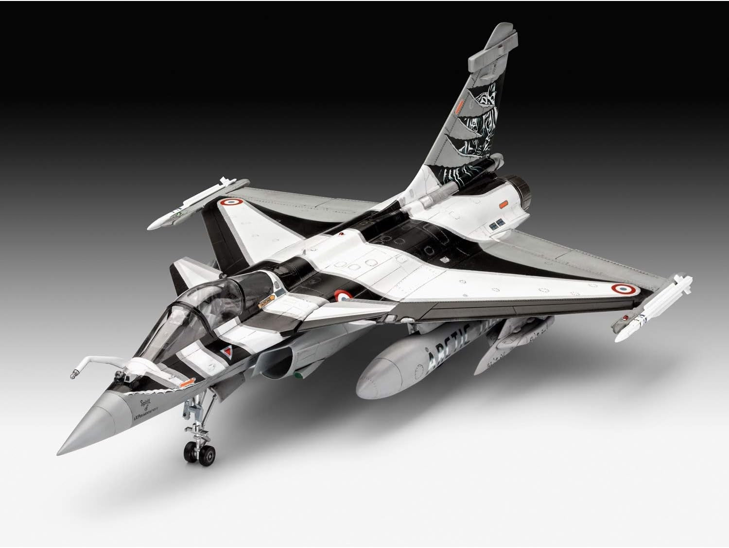 Plastic Model Kit Dassault Rafale C 1:48 Scale Military Jet Aircraft DIY Set