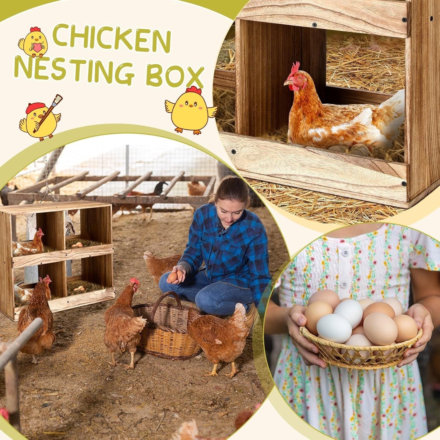 4 Compartment Wooden Chicken Nesting Boxes Easy Assembly