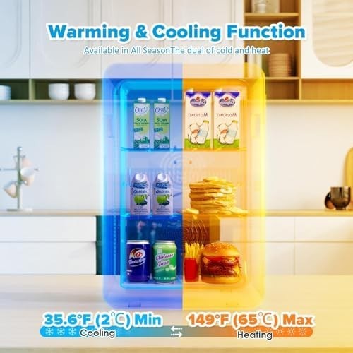 22L Mini Fridge Portable Cooler & Warmer for Bedroom Office Black
