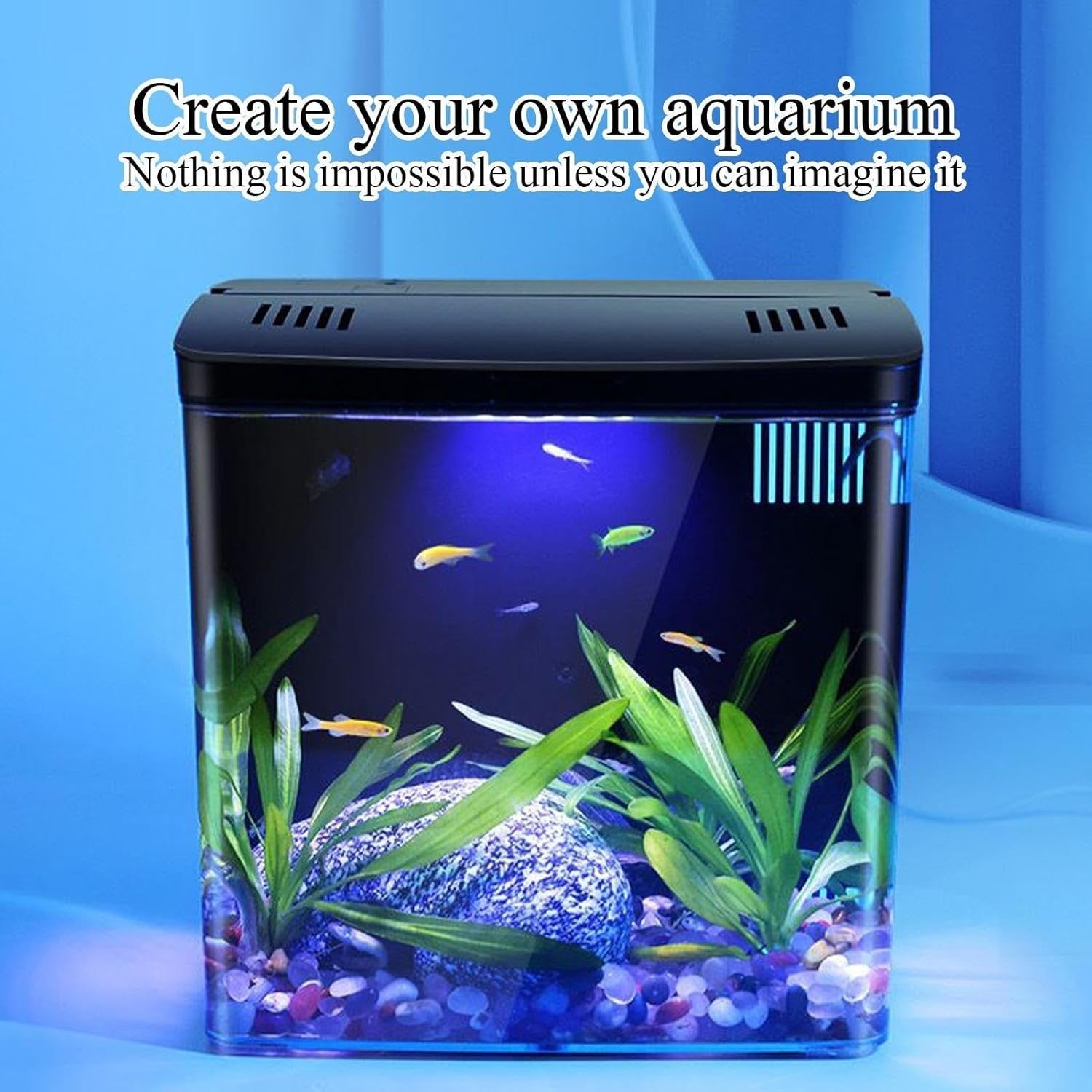 Small Desktop Fish Tank with Filter | Quiet Aquarium for Home & Office