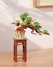 3D Evergreen Pine Bonsai Wooden Puzzle Kit – Nature Decor, Adult DIY Model