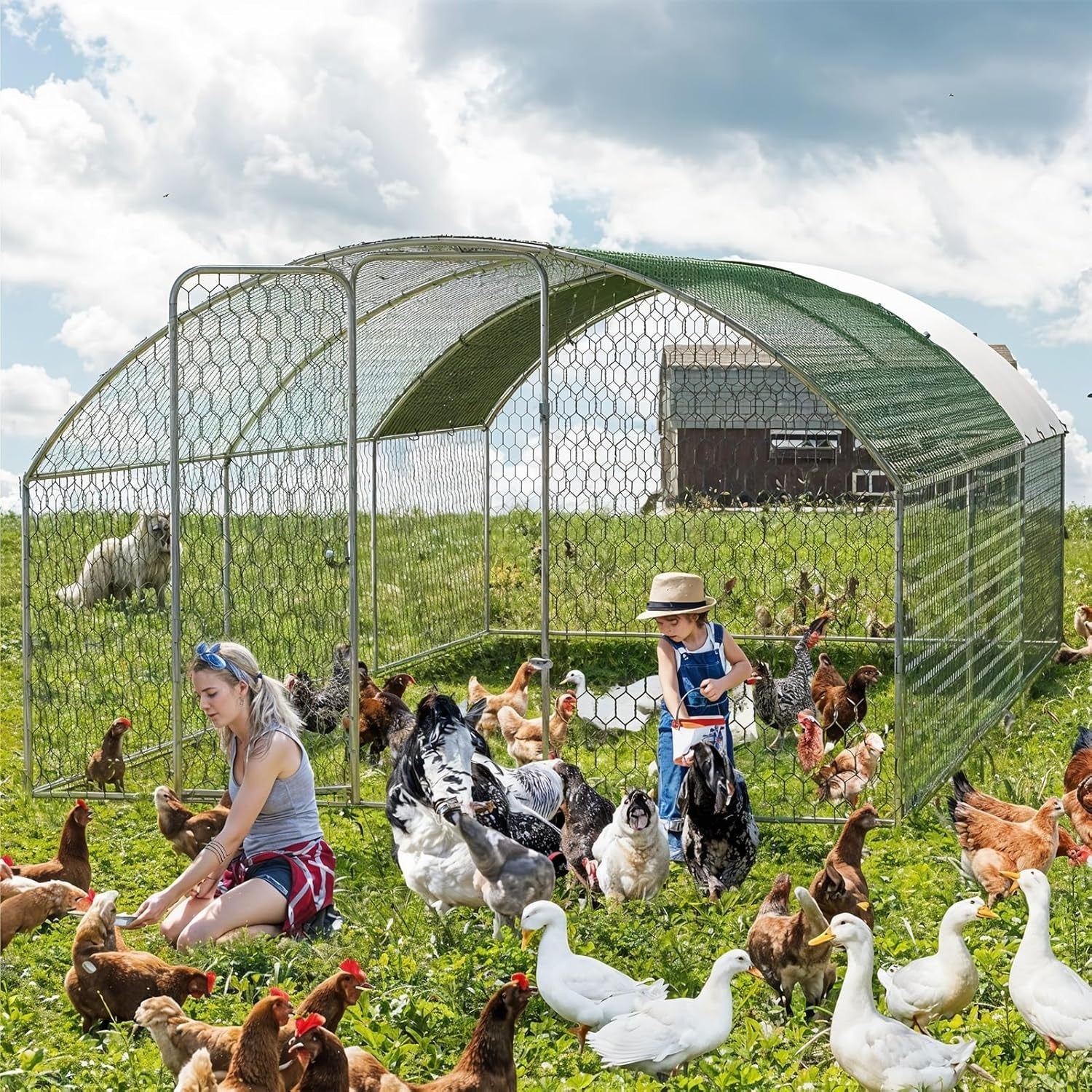 Large Walk In Chicken Run 5.8x3m Galvanised Poultry Pen