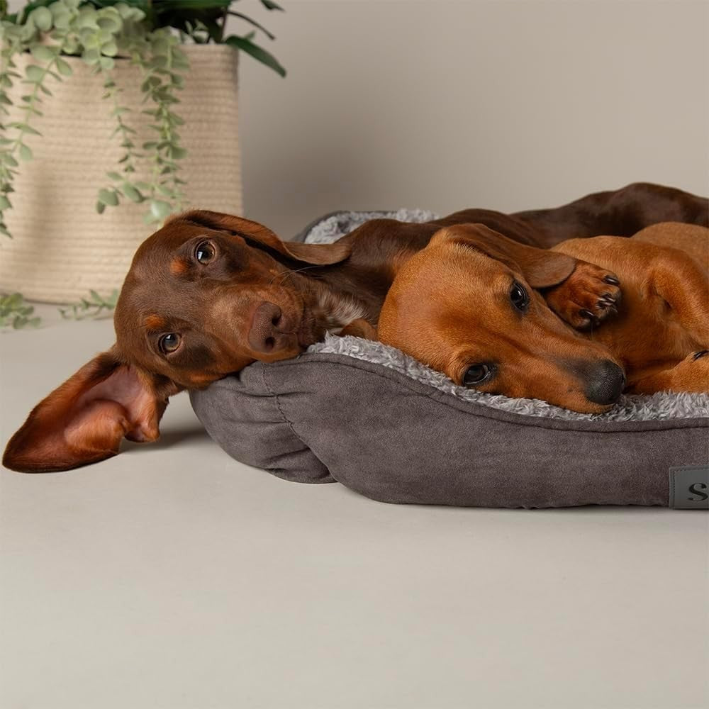 Small Dog Box Bed 50x40cm Grey Washable Non Slip