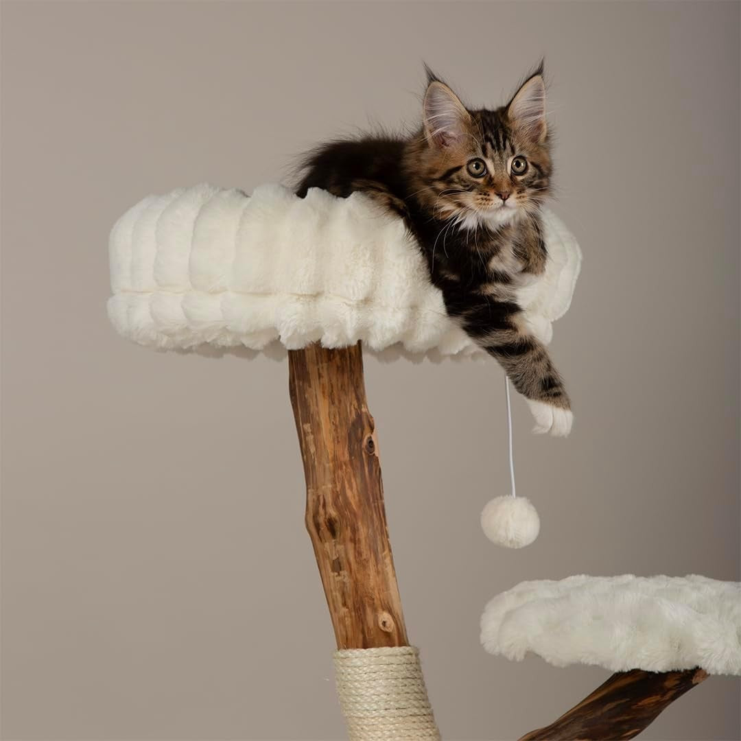 Luxury Cat Scratching Tree with Plush Perch Natural Wood Indoor Climbing Tower