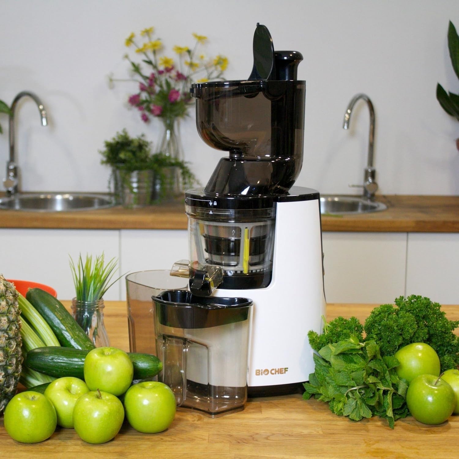 Whole Slow Juicer Cold Press 250W BPA Free Silver Juice Extractor