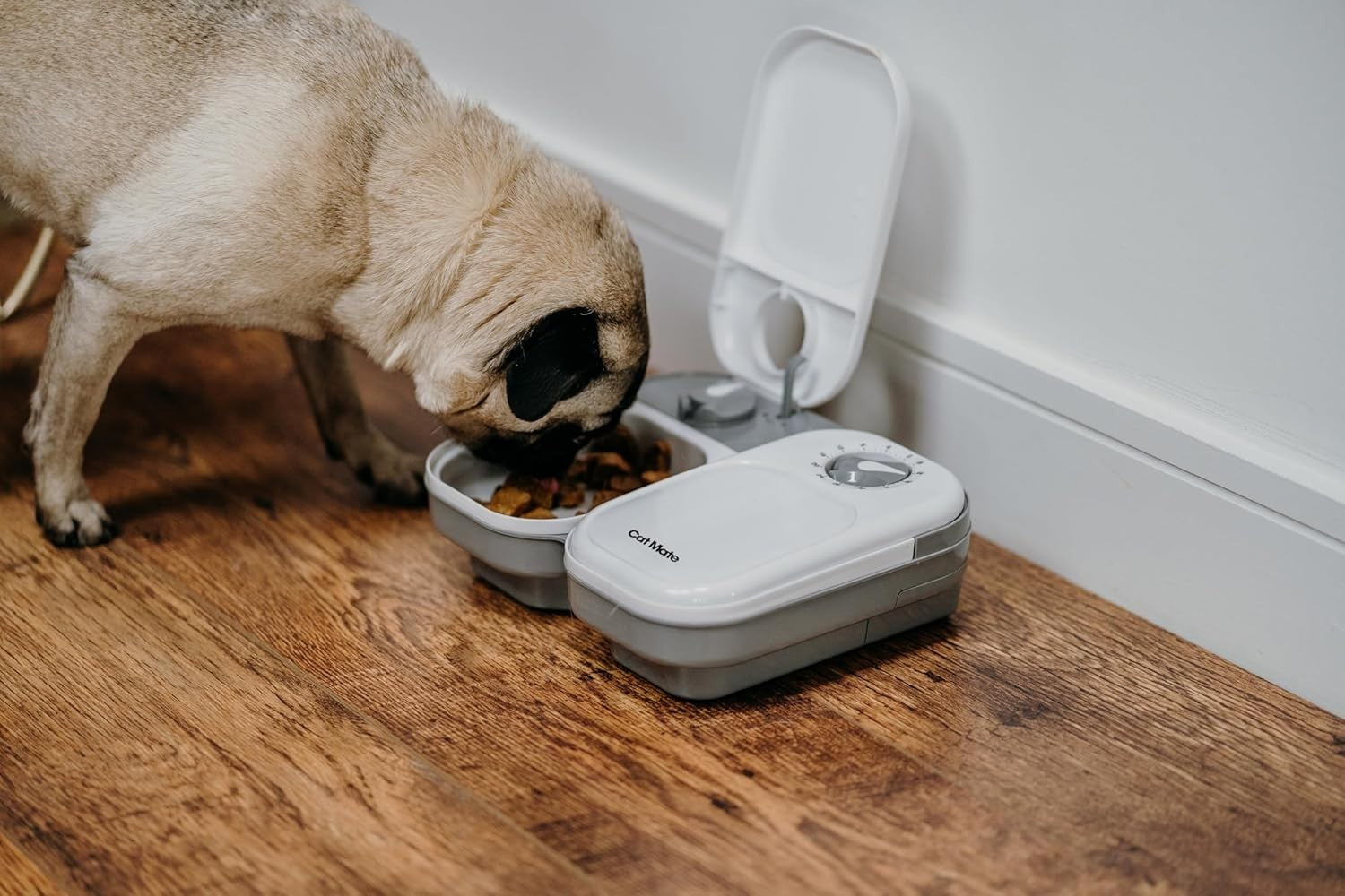 Automatic Pet Feeder Digital Timer 2 Meal Wet Dry Food Dispenser Ice Pack
