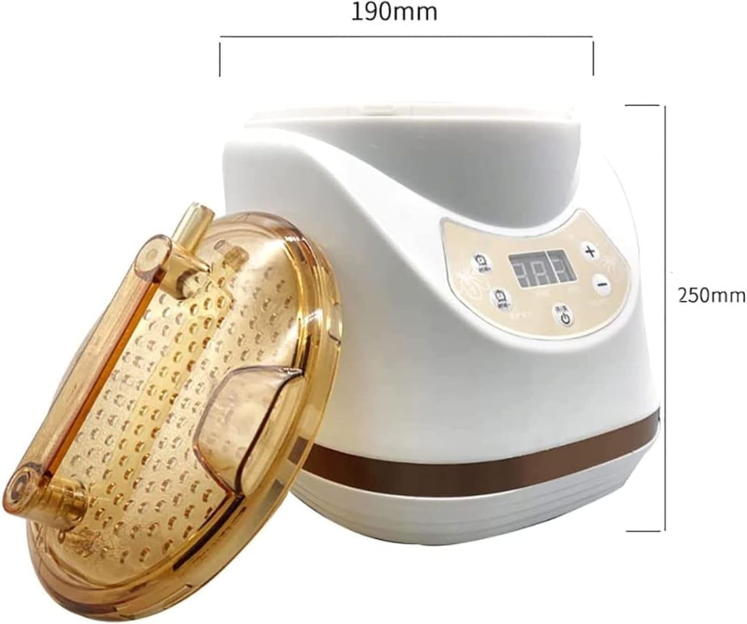 2000W 2L Portable Sauna Steam Generator w/ Remote – Home Spa & Wellness