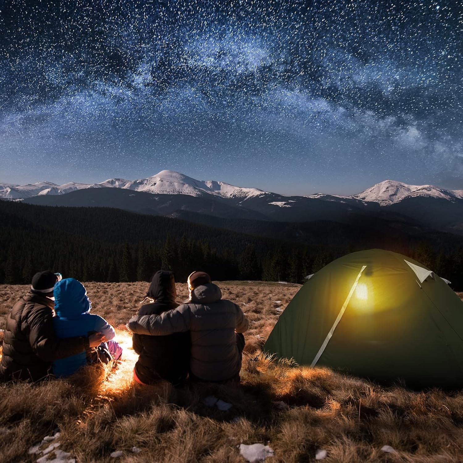 2 Person Ultralight Camping Tent Waterproof 3-4 Season Green