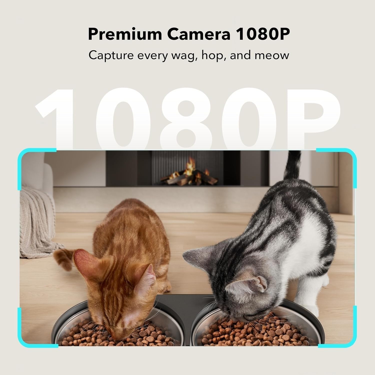 Smart Pet Feeder with Camera WiFi App Control Dual Bowl 1080P HD