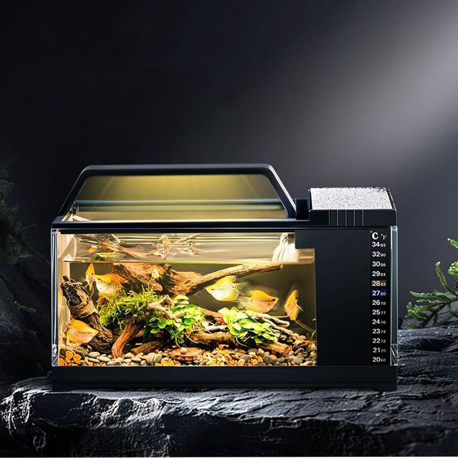 Small LED Fish Tank with Quiet Pump & Self-Cleaning | Desktop Aquarium