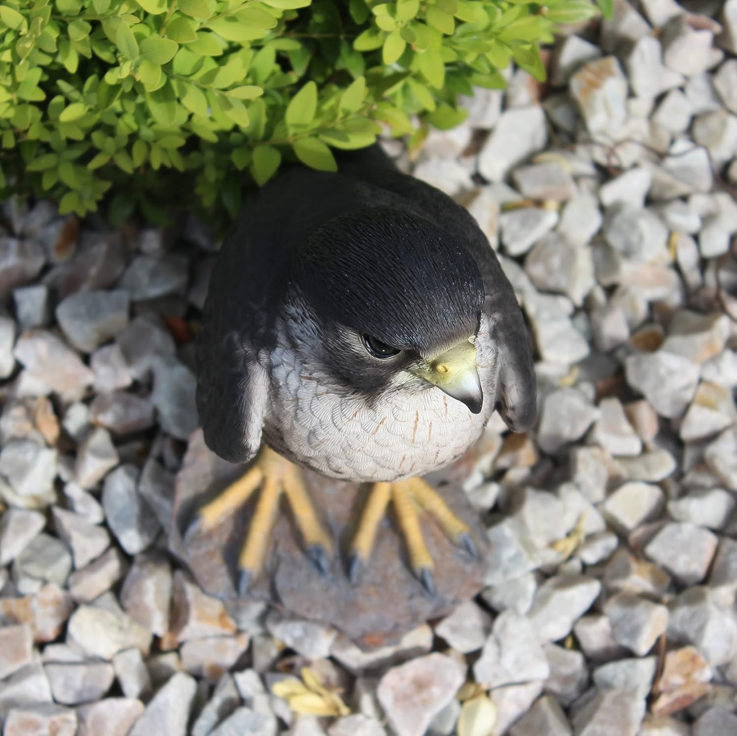 Realistic Peregrine Falcon Resin Ornament • Garden Bird Statue 10.2cm
