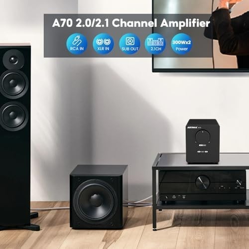 A70 Balanced Stereo Amplifier 300W x2 Class D 48V