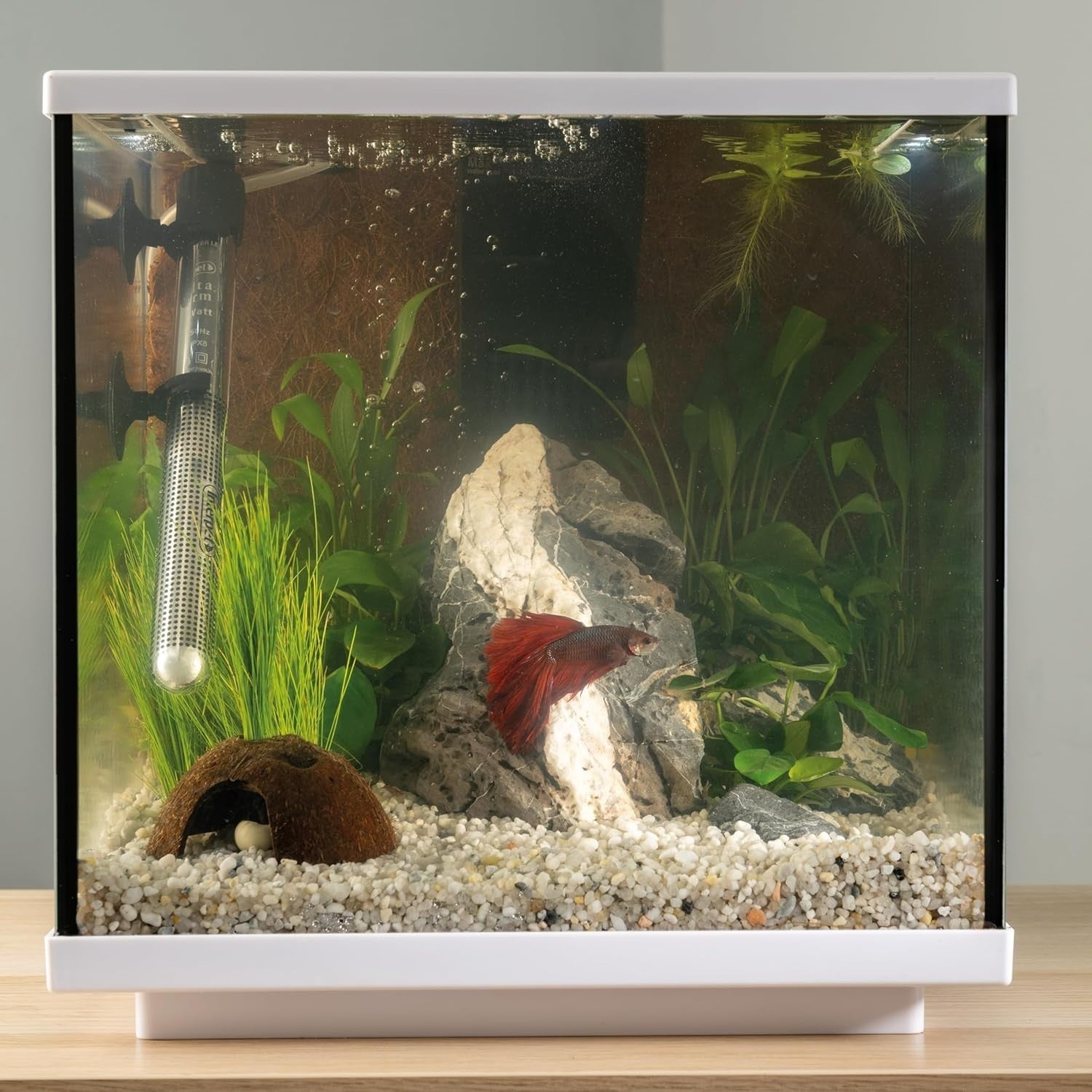 28L Cube Glass Fish Tank with LED Light & Easy Care Filter – Aquarium