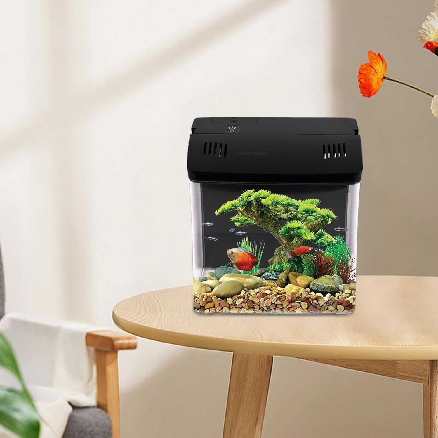 Small Desktop Fish Tank with Filter | Quiet Aquarium for Home & Office