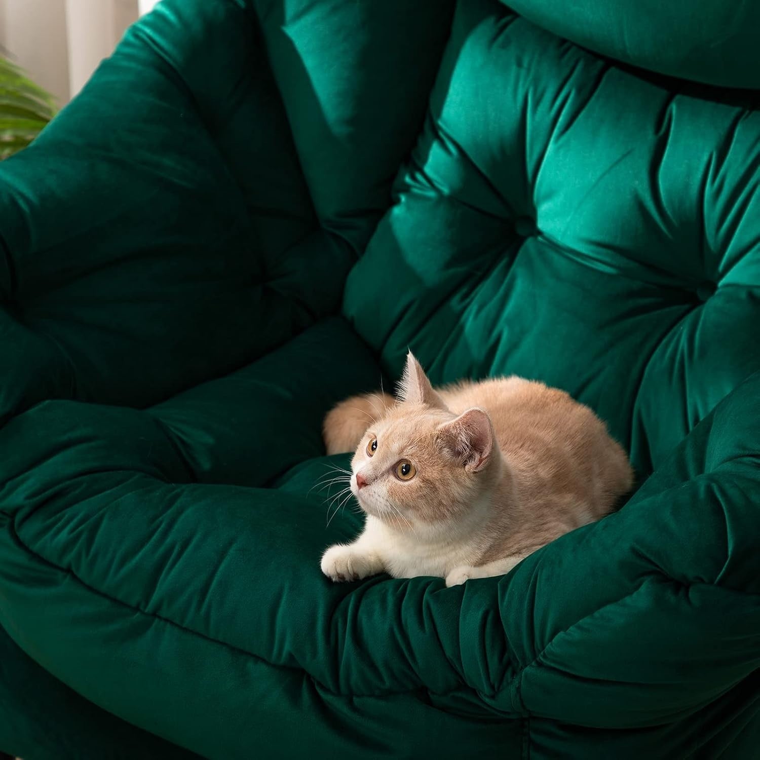 Green Velvet Accent Armchair Wingback Comfy Lounge Chair Bedroom Reading
