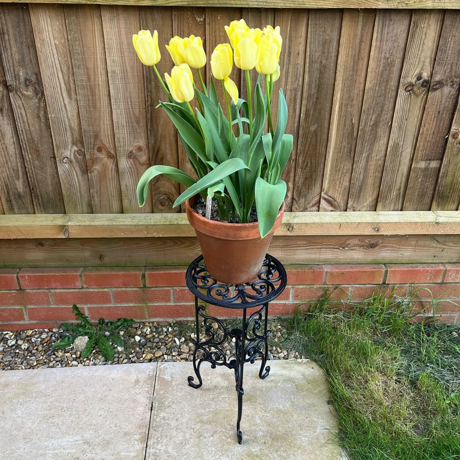 Heavy Duty Cast Iron Plant Stand Indoor Outdoor Flower Pot Display Table Black
