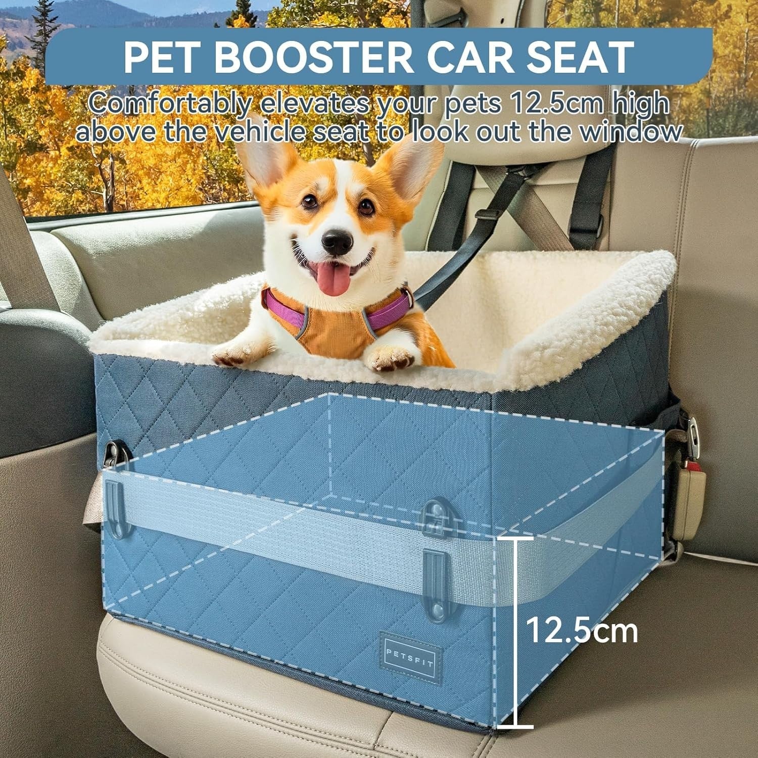 Elevated Dog Booster Car Seat Pet Travel Bed Safety Leash 30lbs Blue