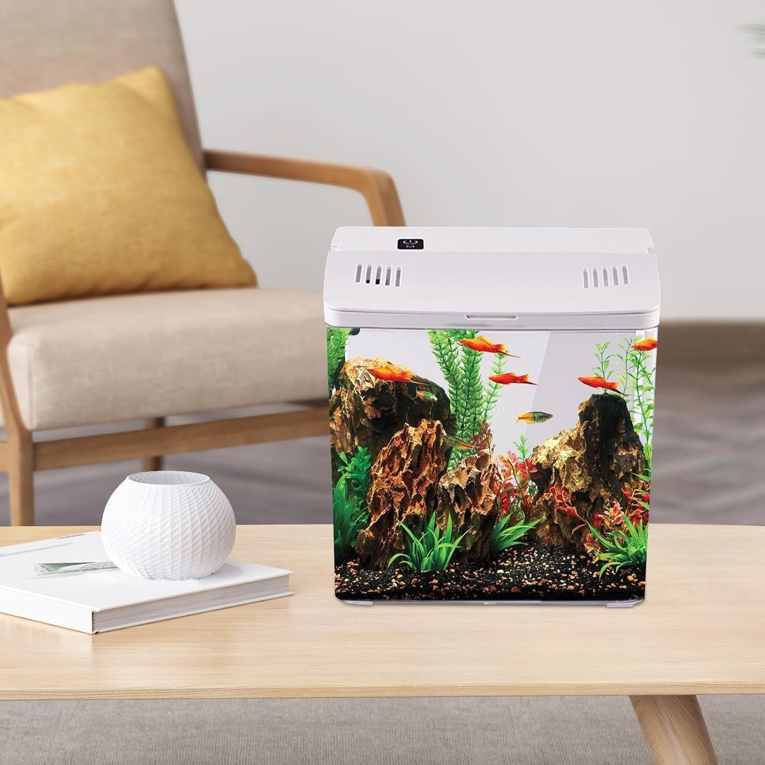 Nano Betta Fish Tank with Filter | Small Desktop Aquarium for Office & Home